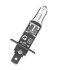 Автолампа галогенова 55W H1 12V 55W P14,5S / EXTRA LIGHT - НА 50% БОЛЬШЕ СВЕТА НА ДОРОГЕ / 2ШТ. КАР NEOLUX N448EL-SCB (фото 2)
