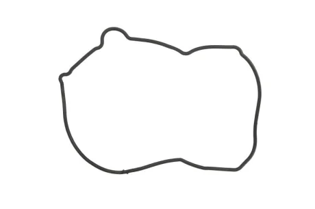Прокладка крышки ГРМ NISSAN 13520AD201
