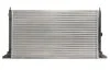 Радіатор охолодження FORD, SEAT, VW (вир-во Nissens) NISSENS 63991 (фото 2)