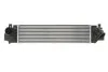Радіатор наддуву BMW 2 F45 (14-) 214 D|BMW 2 F45 (14-) 216 D|BMW 2 F45 (14-) 218 D|BMW 2 F45 (14-) 220 D NISSENS 96377 (фото 1)