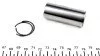 Поршень Renault Clio 1.5DCI 05- (76.50mm/+0.5) (71-3845-50)(Палець 25mm) = 7138455000 UA63 NPR 130 038 0026 21 (фото 2)