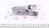Вкладиші корінні Daewoo Nexia/Opel Combo 1.2i-1.6i (+0.25) (к-кт) = 6035002500 UA63 NPR 180 035 0001 15 (фото 3)