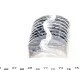 Вкладиші шатунні Audi A3/A4/A6/VW Caddy/Passat 1.9TDI (+0.25) = 6150712500 (opt-om) NPR 181 050 0022 15 (фото 3)