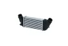 Радіатор інтеркулера Citroen Jumper/Fiat Scudo/Peugeot Expert 1.6/2.0/2.2D Multijet/HDi 06- UA63 NRF 30192 (фото 1)