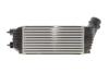 Радіатор інтеркулера NRF 30195 (фото 4)