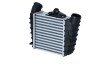 Радіатор інтеркулера Skoda Fabia/Roomster 99- UA63 NRF 30842 (фото 3)