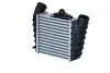 Радіатор інтеркулера Skoda Fabia/Roomster 99- UA63 NRF 30842 (фото 3)