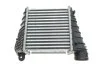 Радіатор інтеркулера Skoda Octavia/VW Bora/Golf IV 1.8T/1.9TDI 97-05 UA63 NRF 30847 (фото 1)