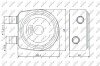 Радіатор масляний Renault Kangoo/Master/Trafic/Opel Movano 1.5/1.9D/DTI/dCi 01- (теплообмінник) UA63 NRF 31247 (фото 5)