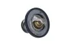 Термостат Nissan Pick Up 2.5D/TD 98-05/Mitsubishi L300 2.5TD 87-04 (76°C) (opt-om) NRF 725131 (фото 4)