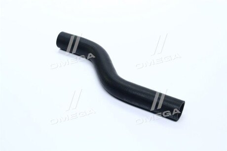 Патрубок радіатора верхній ACCENT 06-10 25411-1E000 C.I.U ONNURI GRHH-194