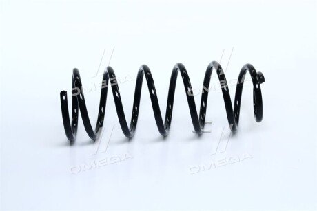 Пружина підвіски задня 553301C011 C.I.U ONNURI GSCH-016