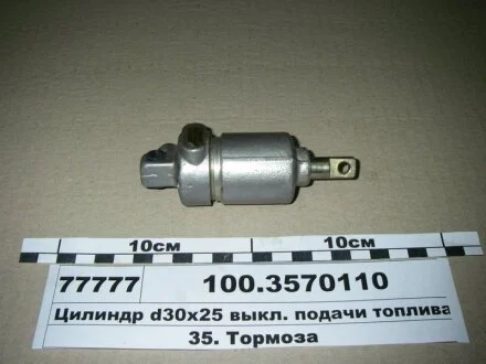 Цилиндр пневматический 30х25 (пр-во) ПААЗ 100.3570110