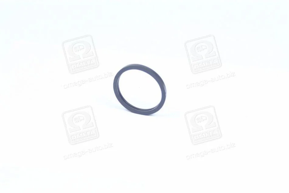 Прокладка термостата DAEWOO/CHEVROLET AVEO 1,5 8V (вір-во) PARTS-MALL P1E-C003 (фото 1)