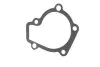 Прокладка помпи HYUNDAI G4GC (вир-во) PARTS-MALL P1H-A003 (фото 1)