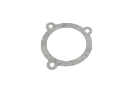 Прокладка дросельної заслінки PARTS-MALL P1O-A013