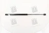 Амортизатор багажника DAEWOO LANOS (вир-во) C.I.U PARTS-MALL PQC-205 (фото 1)