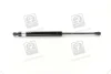 Амортизатор багажника CHEVROLET TACUMA; REZZO (U100) (вир-во) PARTS-MALL PQC-211 (фото 3)