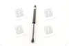 Амортизатор багажника CHEVROLET TACUMA; REZZO (U100) (вир-во) PARTS-MALL PQC-211 (фото 4)
