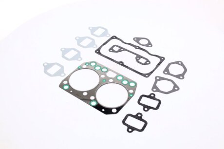 Прокладки ГБЦ MAN D0824/D0826/D0834/D0836 (2 ЦИЛ) Payen DV500