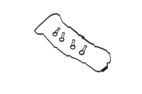 Комплект прокладок гумових КЛАП. КР. (SET) BMW 2.0D N47D20A 03- -ua Payen HM5387