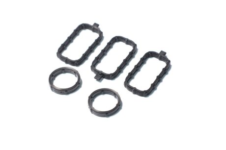 Комплект прокладок гумових УЦІНКА. ВІДСУТНІ КРУГЛІ КІЛЬЦЯ.КЛАП. КР. (SET) SET REN 2.3DCI M9T 670/672/67 -ua Payen HM5392