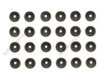 Комплект сальників клапанів IN/EX (SET) BMW (24PCS) -ua Payen HR5121 (фото 1)