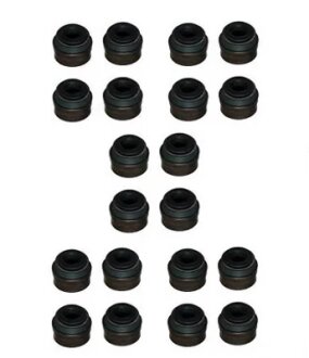 Комплект сальників клапанів IN/EX (SET) MB OM605,OPEL/VAG (20PS) Payen HR822