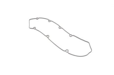 Прокладка крышки клапанной PSA 2.0HDI DW10TD/ATED/DW12UTED (пр-во PAYEN) Payen JM5087