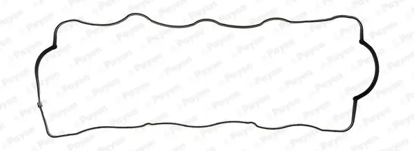 Прокладка кришки клапана CHEVROLET CAPTIVA, CRUZE, EPICA, LACETTI, NUBIRA OPEL ANTARA A 2.0D 01.05- Payen JM7115 (фото 1)