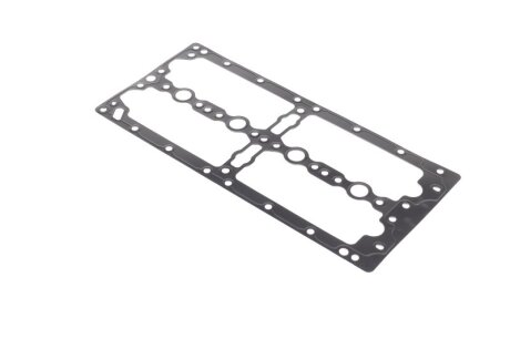 Прокладка клапанной крышки резиновая КЛАП КР FIAT 2.3JTD F1AE 08.04- Payen JM7198