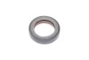 Сальник двигуна N/FRONT VAG 32X47X10 PTFE Payen NA5124 (фото 1)