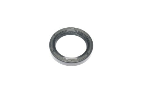 Сальник двигуна Payen NB384