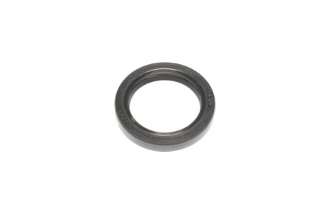 Сальник маточини TOYOTA 35X48X7 Payen NJ743