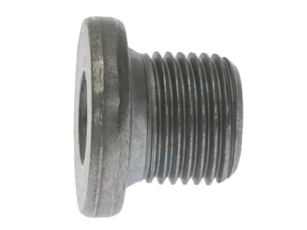 Пробка зливна Peugeot/Citroen 031138