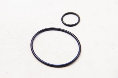 Уплотнение вакуумного насоса Peugeot/Citroen 459936