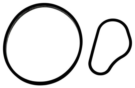 Уплотнение вак. НАСОСА Peugeot/Citroen 459941