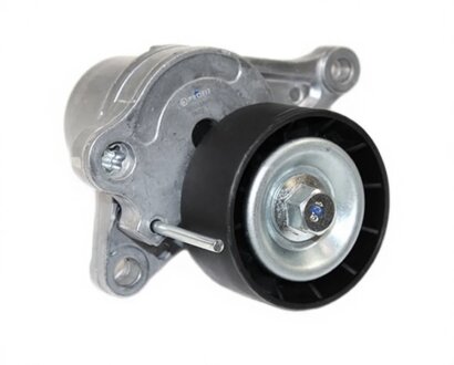 Ролик модуля натяжителя ремня РОЛИК РЕМНЯ ПРИВОДНОГО НАТЯЖНОЙ RENAULT/OPEL/NISSAN 05- (2.0DCI/2.3DC PROFIT 1014-3541