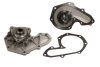 Помпа водяна ВОДЯНИЙ НАСОС RENAULT MEGANE 97-, KANGOO 98- PROFIT 1701-0531 (фото 1)