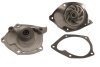 Помпа водяна ВОДЯНИЙ НАСОС RENAULT MEGANE II 02-. SCENIC II 03-. LAGUNA II 04- 1.9 DCI NISSAN PRIMER PROFIT 1701-0907 (фото 1)