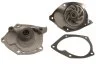 Помпа водяна ВОДЯНОЙ НАСОС RENAULT MEGANE II 02-. SCENIC II 03-. LAGUNA II 04- 1.9 DCI NISSAN PRIMER PROFIT 1701-0907 (фото 1)