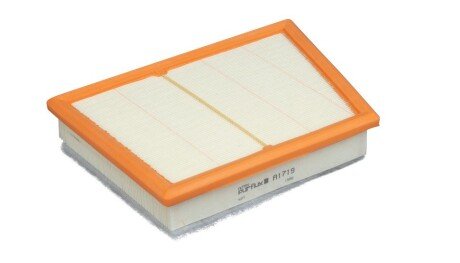 Фільтр повітряний BMW 2 (F45) 1.5-2.0 i 14-/X1 (F48) 1.5-2.0 i 15- UA63 Purflux A1719