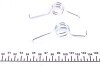 Пружини супорта (заднього) Renault Master/Opel Movano 98- (К-кт L+R) UA63 QUICK BRAKE 113-0500 (фото 2)