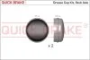 Комплект захисних кришок маточини колеса QUICK BRAKE 9821K (фото 1)