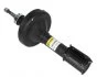 Амортизатор передний Kangoo 98-08 RAISO RS230380 (фото 1)