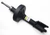 Амортизатор передний Kangoo 98-08 RAISO RS230380 (фото 2)