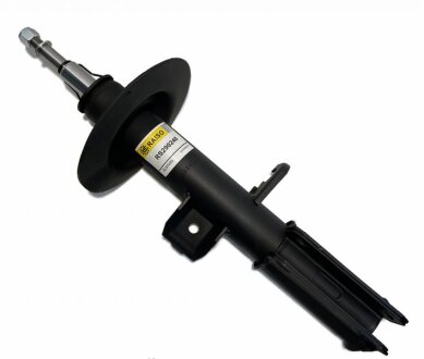 Амортизатор передн. лів. BMW X5 E53 00-06 3.0-4.6 RAISO RS290240