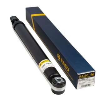 Амортизатор задній BMW X3 (E83) 04-11 (газовий))) RAISO RS310720