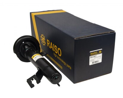 Амортизатор передній лівий Fusion 02-12 RAISO RS314677