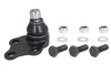 Шарова опора лів/прав (нижн передн) (діаметр конуса 22mm) MERCEDES VIANO (W639), VITO / MIXTO (W639), VITO (W639) 2.1D-Electric 09.03- REINHOCH RH03-3007 (фото 1)
